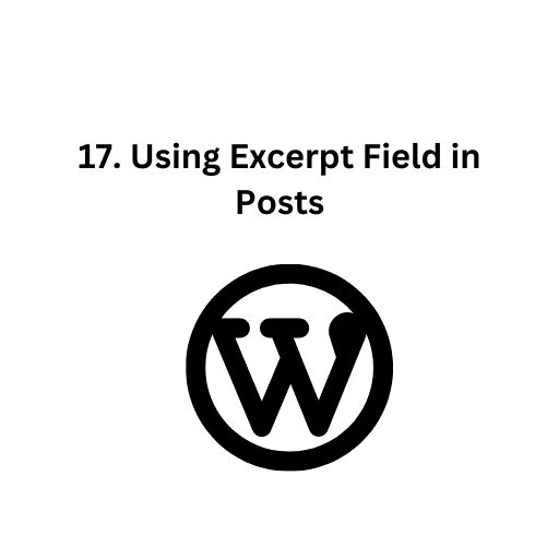 17. Using Excerpt Field in Posts